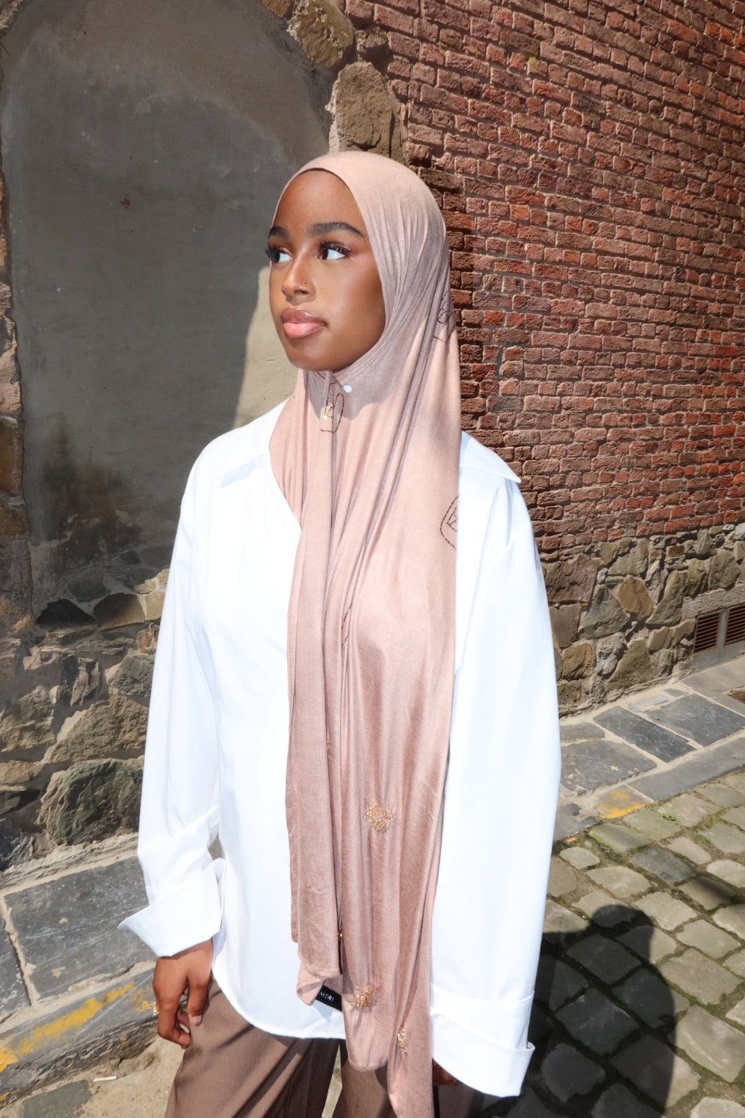 Coton Jersey - Taupy